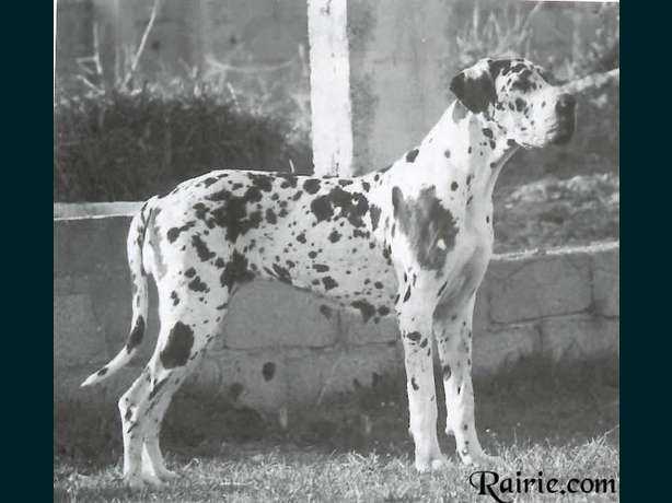 Bea Von Der Stadt Luneburg