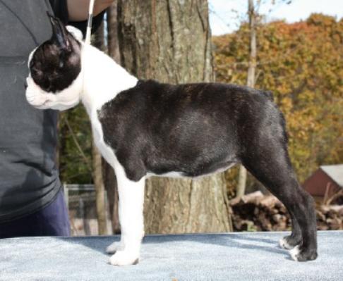 Kennedy N Wild's Don't Worry Bea Happy