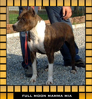 Full Moon Mama Mia