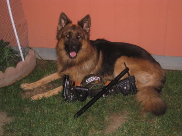 Deputy Sheriff Vom Stinnett