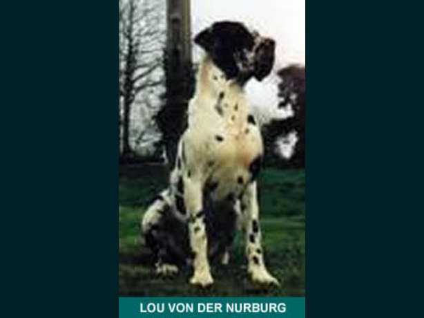 Lou von der Nürburg