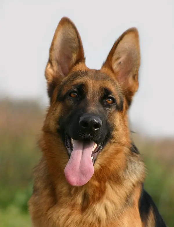 Kaiser Von Haus Thomas