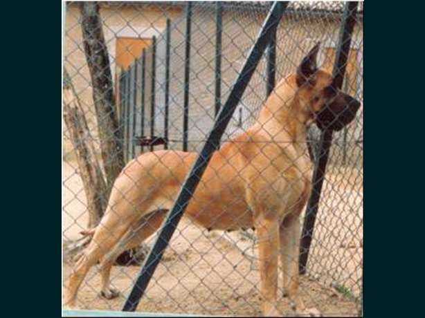 Flower des Terres de la Rairie