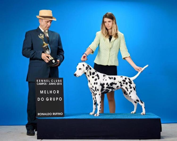 PCH JBISS JCH BRCH Spot One Made in Heaven