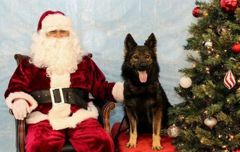 PPD Nolla Z Eurosportu