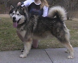 Vykon's Take My Breath Away