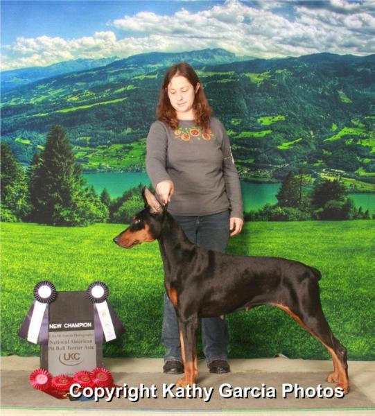 CH Blueline's Barracuda