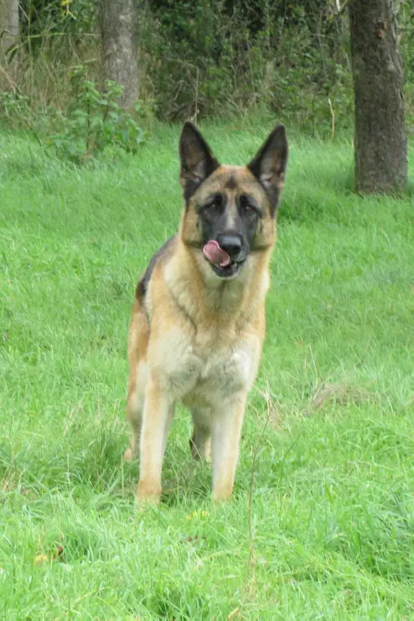 EXKYZ de la dalle de cindais