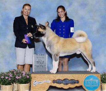 AKC CH Spa City's Good Will Hunting