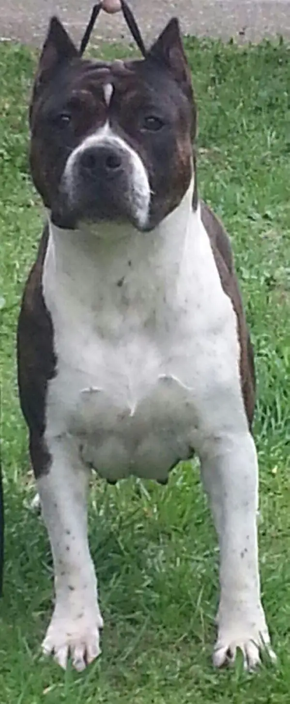 Emiliana (Ochoa/Cardenas)