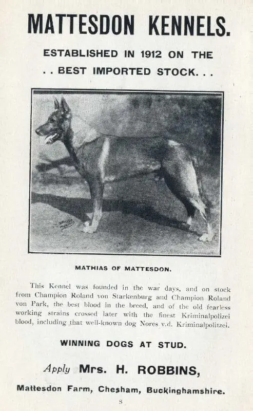 Mathias of Mattesdon