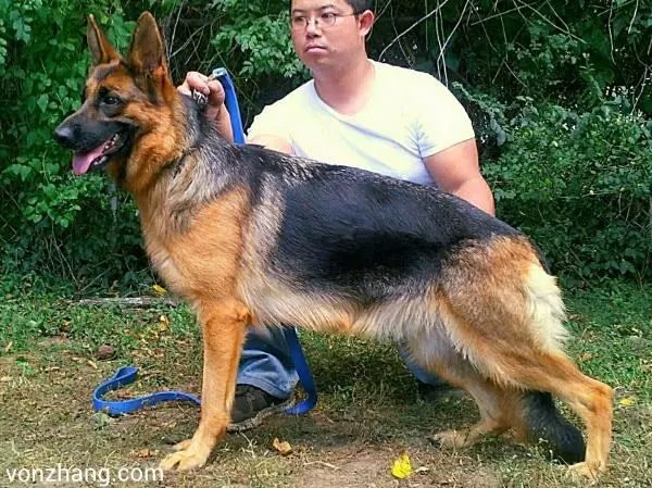 Raisa vom team daniro