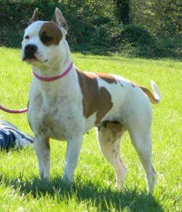 hot family smoke and fly