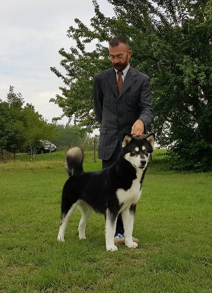 The Magician Olivia Newton John