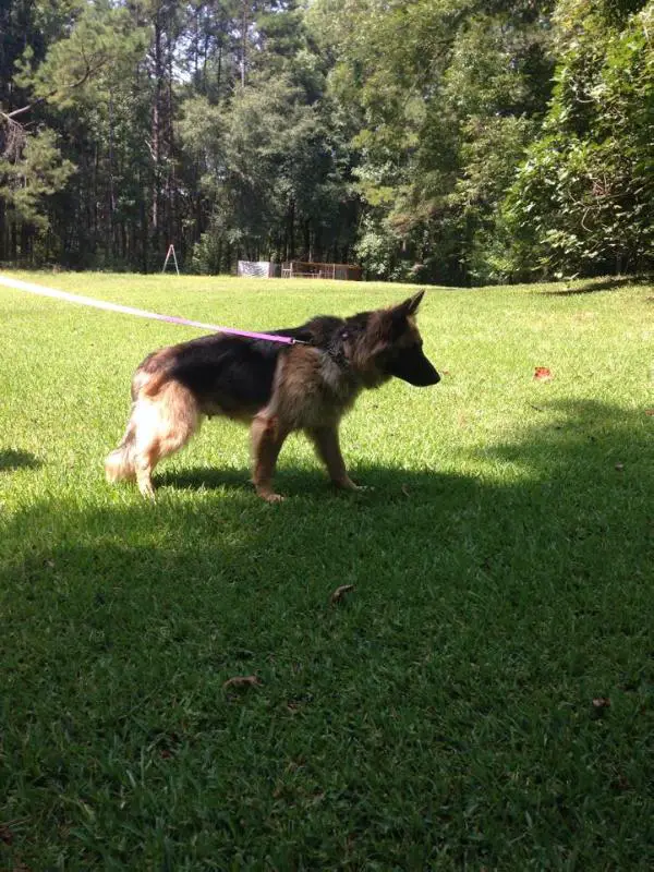 Sallistine eddleman von jordan haus