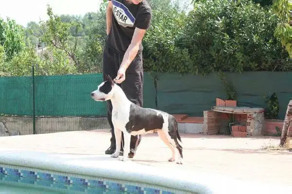 maria & raki's galeria lucilla