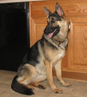 Princess Shakira of Bremerhaven