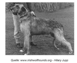 Sulhamstead Branwen Myles