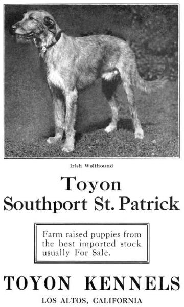 Toyon Southport St Patrick 182343