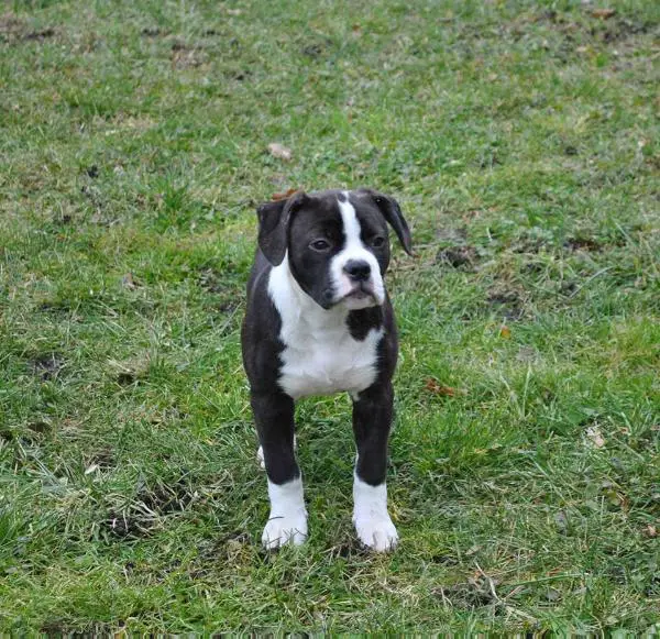 TItan's Seeing is Believing