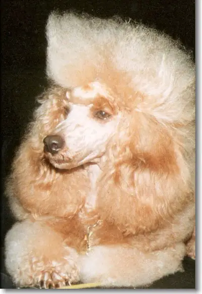 INT CH Zyprian aus dem Schneckenhaus