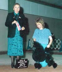 AM/ESP CH Aizbel The Nighthawk