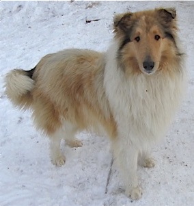 Stirling's SpiritWind of BluSkyCloud