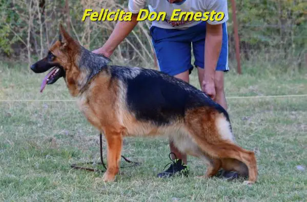 Felicita Don Ernesto