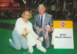 Melkaja Monetka iz Zimnih Grez