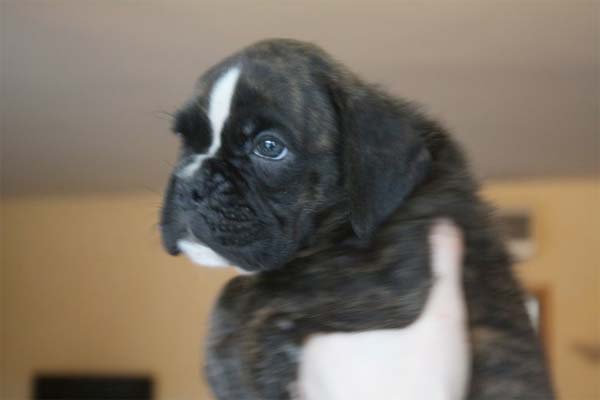 You Are My Sunshine di Casa Vernice