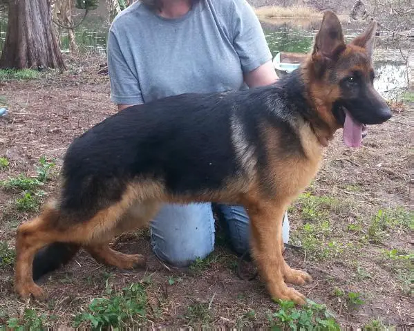 Karma von Sullivanhaus