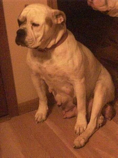 Lilly's On A Rampage, NKC09-900354196