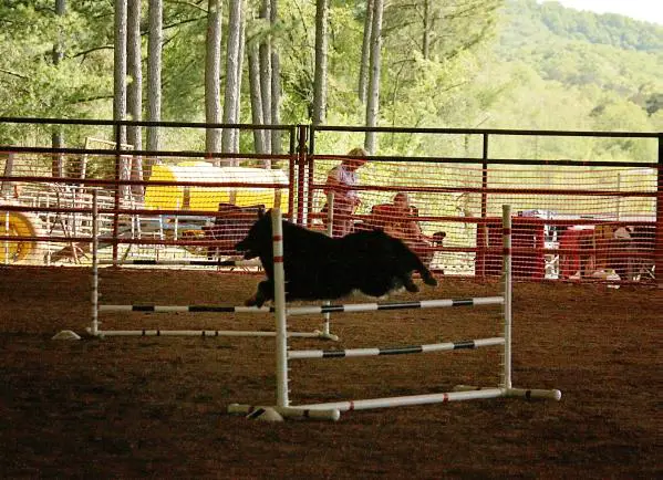 Stargate Whirlwind of Disaster