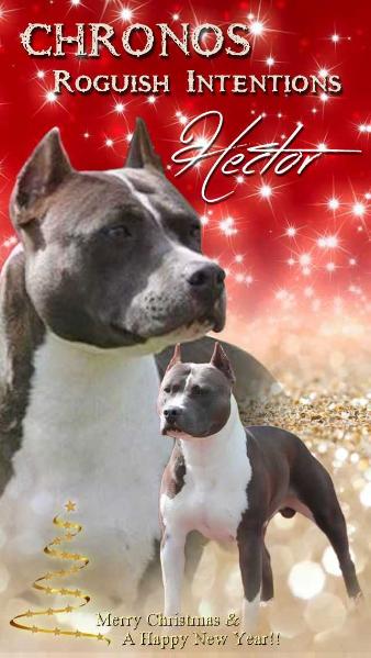 Chronos Roguish Intentions