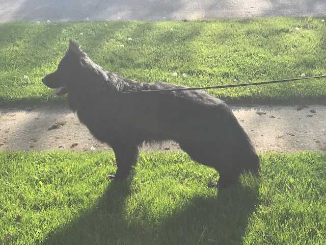 Fritz vom der Schmitz