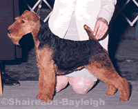 AMCH Shaireab's Turn Back Time