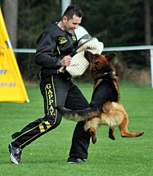 Zissy aus der neuen Hauffstrasse