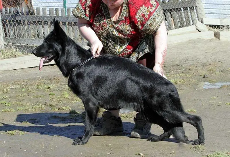 V Evra Leone Vanessa Mey