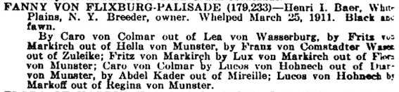Fanny von Flixburg-Palisade