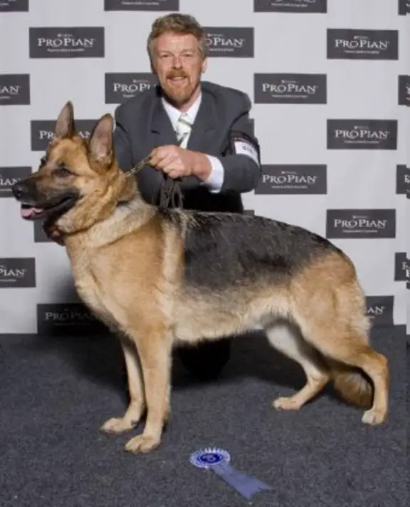 NZ.Ch. Ex.6 Rahkantra Bella Donna