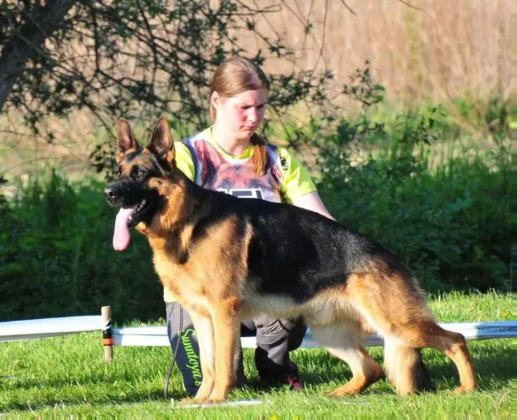 V Zyklon vom Repitition