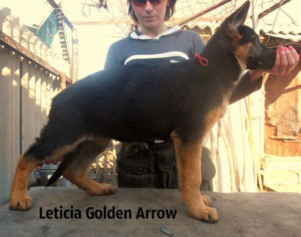 Leticia Golden Arrow