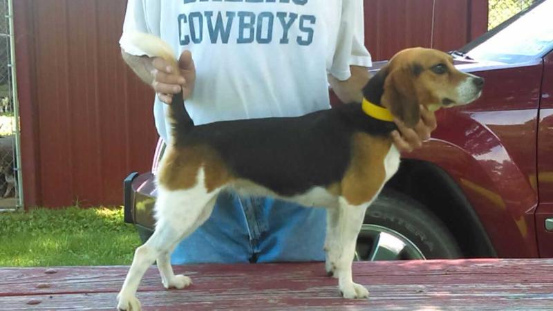 Hurricane Creek Julie