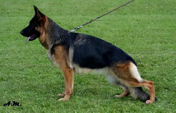 VA2 KVV CZ 2016, V1 HSV 2014 Talome Dlhá Roveň