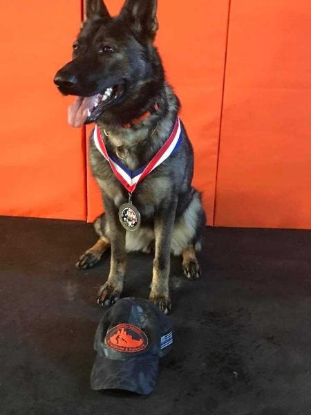 Pety z Vodnanske doliny