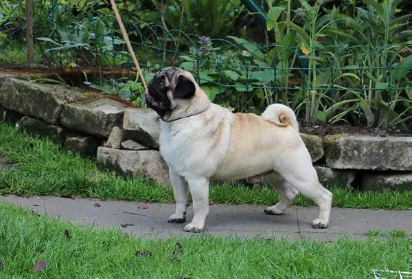 Double d hold me tight