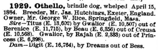 Othello (1884) AKR 001929
