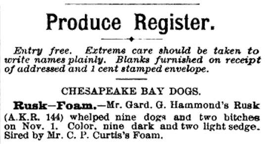 American Kennel Register 1884 Litter Produced Register