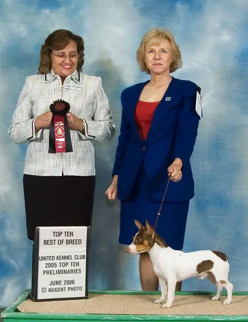 UKC GRCH TTB Elvis The Mississippi King