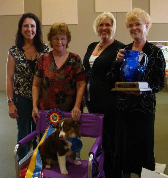 Coat Tails Stetson Of Pleasant Woods